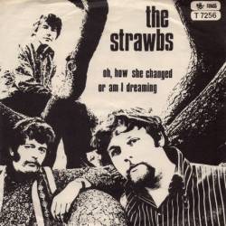 Strawbs : Oh, How She Changed